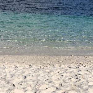 Meet your Posher, Marsha